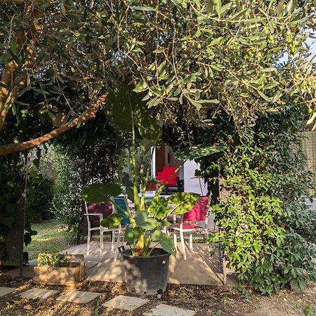 Vila La Maison Sous L'Olivier Morieres-les-Avignon Exteriér fotografie