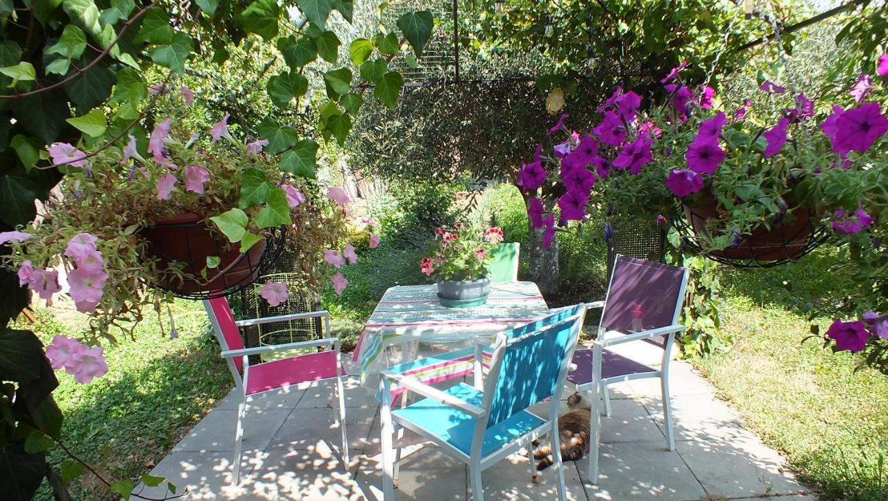 Vila La Maison Sous L'Olivier Morieres-les-Avignon Exteriér fotografie