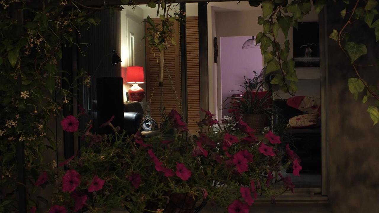 Vila La Maison Sous L'Olivier Morieres-les-Avignon Exteriér fotografie