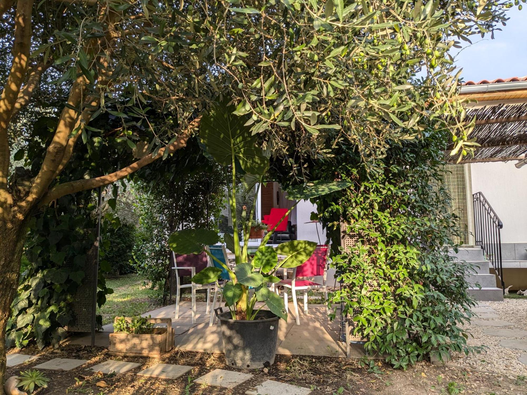 Vila La Maison Sous L'Olivier Morieres-les-Avignon Exteriér fotografie